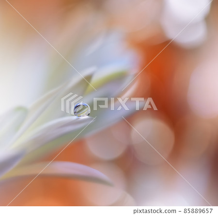 Beautiful macro shot of magic flowers.Border art design. Magic light.Extreme close up macro photography.Conceptual abstract image.Orange and White Background.Fantasy Art.Creative Wallpaper.Beautiful. 85889657