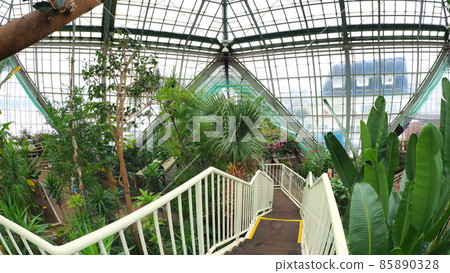 函館熱帶植物園 6 函館熱帶植物園 6 85890328