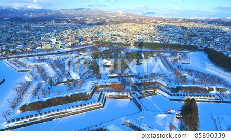 View from Goryokaku Tower 4 85890339