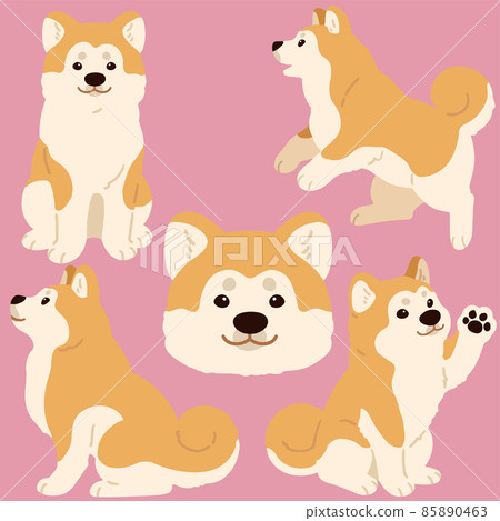 沒有主線的簡單可愛的秋田犬插圖集 85890463