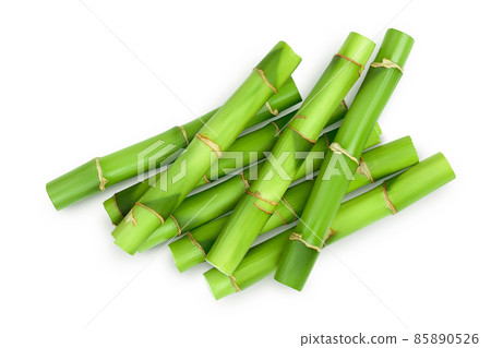 Green bamboo isolated on white background with clipping path and full depth of field. Top view. Flat lay 85890526