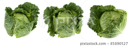 Savoy cabbage isolated on white background with full depth of field. Set or collection 85890527