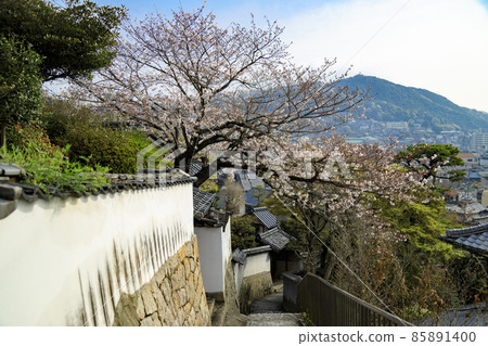 Cherry blossoms blooming on the cobblestone road of Onomichi, a hill town 85891400