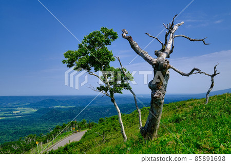Scenery near Lake Mashu 85891698