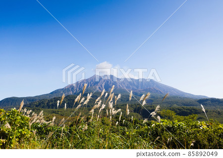 從恐龍公園看清秋的櫻島 85892049