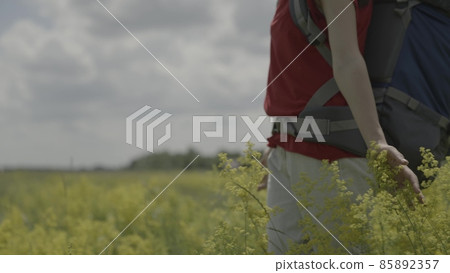 A traveler's hand touches wildflowers in a park area, a thousand-year-old girl travels with a backpack through a wooded area, an active tourist trip in search of adventure in nature A traveler's hand touches wildflowers in a park area, a thousand-year-old girl travels with a backpack through a wooded area, an active tourist trip in search of adventure in nature 85892357
