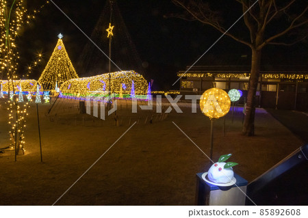 Illuminations and snow rabbits 85892608