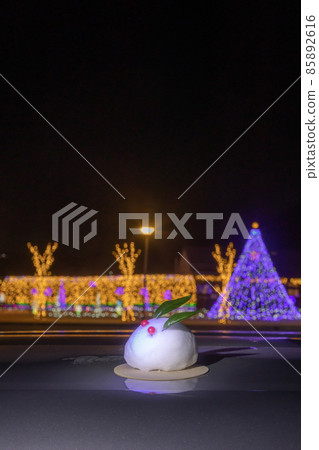 Illuminations and snow rabbits Illuminations and snow rabbits 85892616
