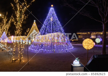 Illuminations and snow rabbits 85892623