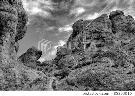 Desert Mountain 22 85893010