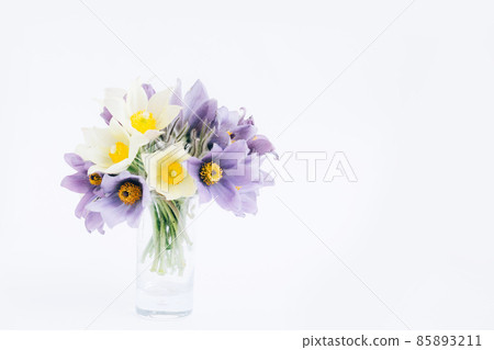 A bouquet of spring flowers, snowdrop or lumbago on light background. Copy space horizontal frame 85893211