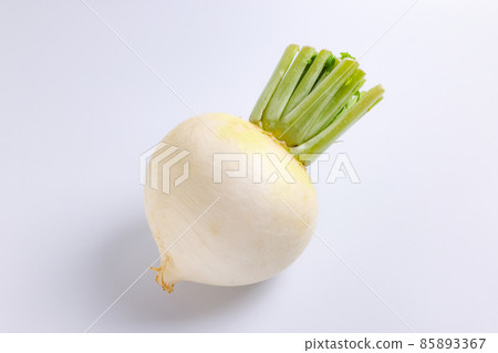 Turnip white background Turnip white background 85893367
