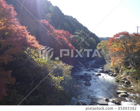 樹木變紅的筑紫山景 85893382