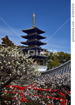Umebayashi of Nakayamadera, a temple of easy delivery, founded by Prince Shotoku, Japan's first Kannon sacred place Umebayashi of Nakayamadera, a temple of easy delivery, founded by Prince Shotoku, Japan's first Kannon sacred place 85893830