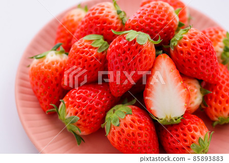 草莓白背 草莓白背 85893883