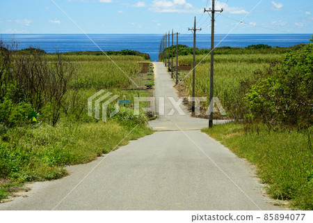 通往日本最南端波照間島和甘蔗田海的道路 85894077