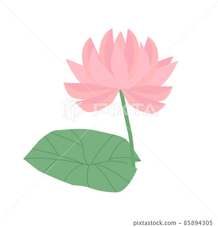 Isolated flat simple water lily, pink lotus with leaf 85894305