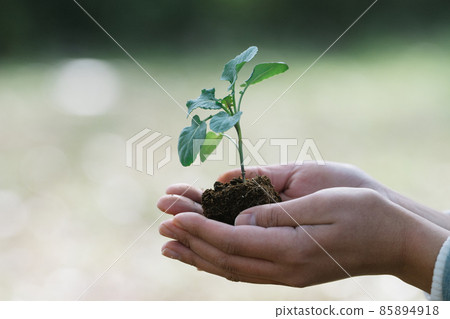 環境/生態/可持續發展目標形象 85894918