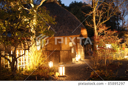 點燃柿子ka 85895297