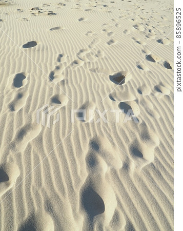 Footprints of the desert 85896525