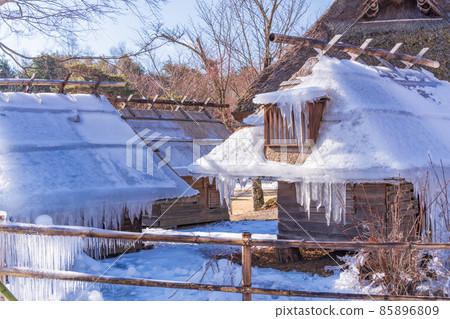 (Yamanashi Prefecture) Icicles and Mt. Fuji in Saiko Wild Bird Forest Park 85896809