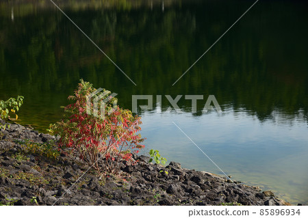 千葉縣君津市古里大壩 千葉縣君津市古里大壩 85896934