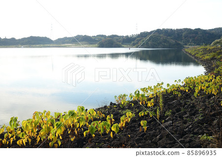 千葉縣君津市古里大壩 85896935