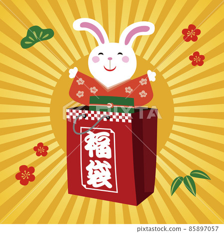 Illustration of a rabbit jumping out of a lucky bag New Year's card material 85897057