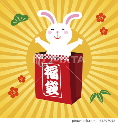 Illustration of a rabbit jumping out of a lucky bag New Year's card material Illustration of a rabbit jumping out of a lucky bag New Year's card material 85897058