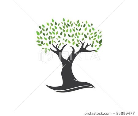 Tree leaf vector logo design, eco-friendly Tree leaf vector logo design, eco-friendly 85899477