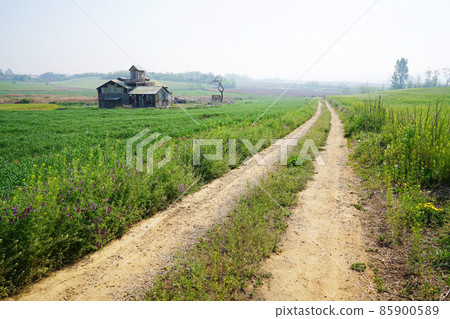 Country road Country road 85900589