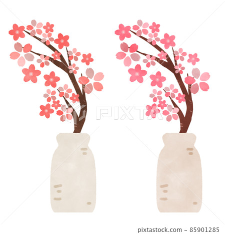 Sakura illustration material in a vase Sakura illustration material in a vase 85901285