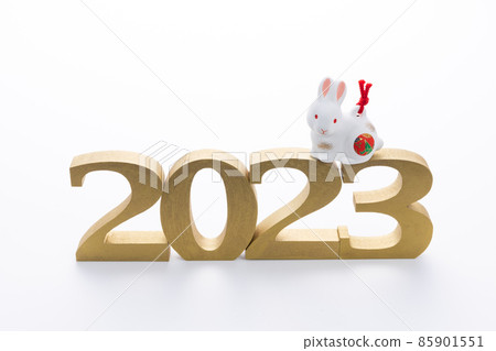 2023 年兔年兔公仔 2023 年兔年兔公仔 85901551