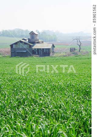 Anseong Palm Land Anseong Palm Land 85901562