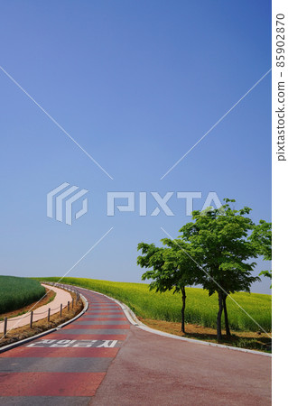 安城棕櫚地 85902870