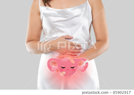Illustration of the uterus is on the woman's body. 85902917