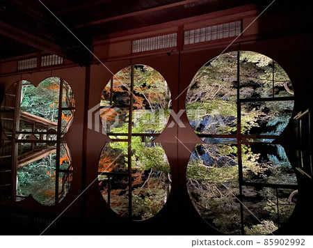 A collaboration between Yumeyu-tei's autumn leaves lit up in Kyoto and a round window 85902992