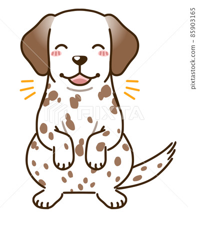 飄柔斑點狗(槓桿白) 飄柔斑點狗(槓桿白) 85903165