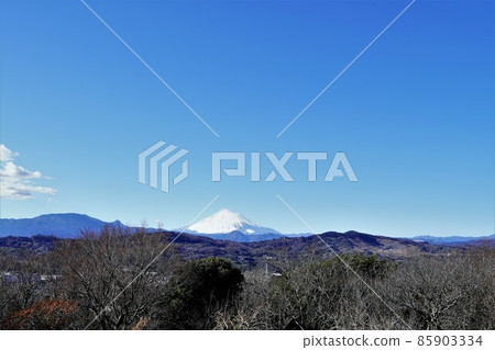 從吾妻山公園山頂看到的白雪皚皚的富士山 85903334