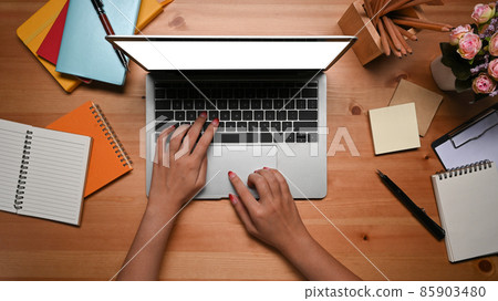 Young female hand typing on computer laptop. 85903480
