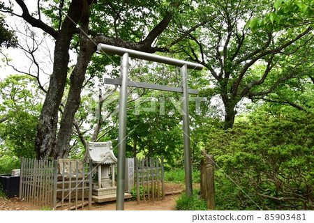 Hiratsuka City Shonandaira (Komayama Park) Asama Shrine and fresh green on the summit of Mt. Asama 85903481