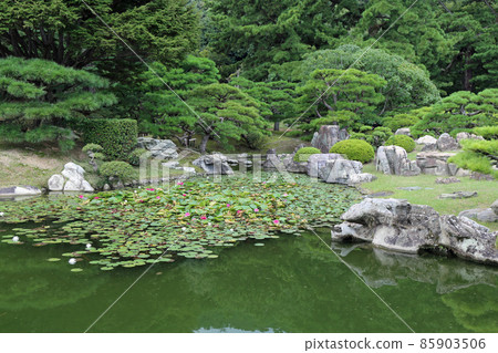 Ritsurin Garden in late summer 85903506