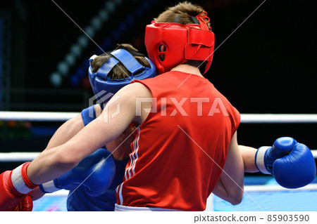 Two boxers in the ring Two boxers in the ring 85903590