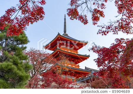 京都 清水寺三重塔的風景 照片素材 圖片 圖庫