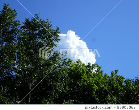 Summer sky and cumulonimbus 85905062