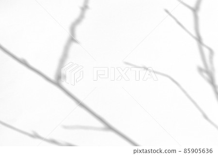 shadows of the tree branches on a white wall shadows of the tree branches on a white wall 85905636