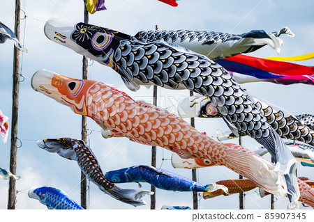 Scenery where carp streamers swim 85907345
