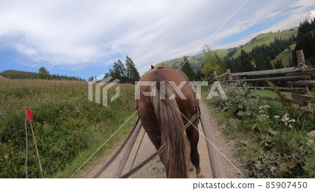 Horse pulls a chaise on a dirt path on a sunny day 85907450