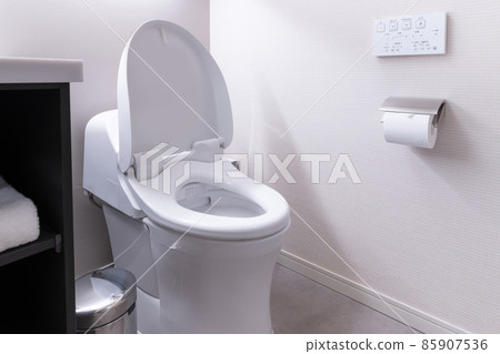 Shower Western style toilet 85907536