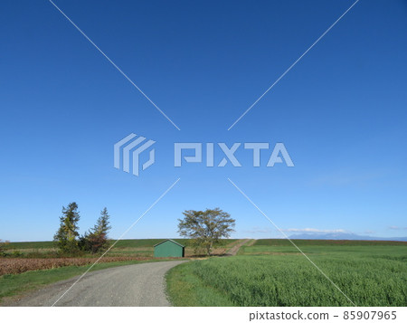 1pondo: 1pondo 85907965
